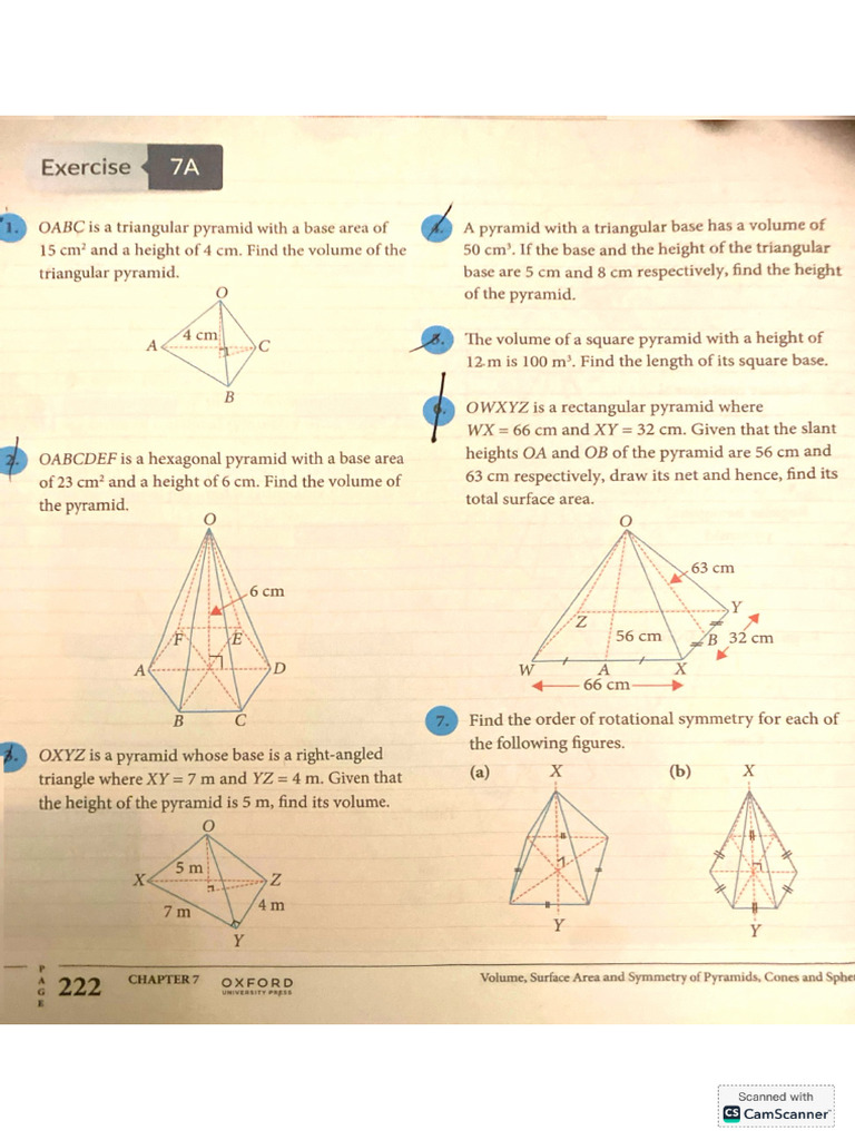 Term 2 EX 7 | PDF