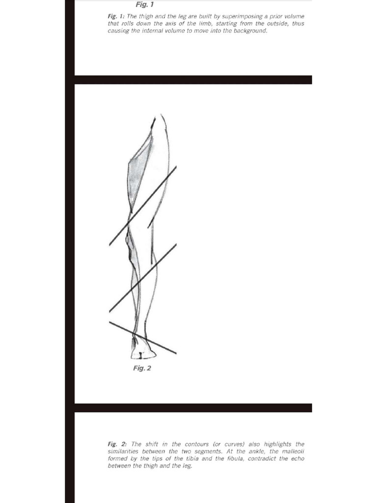 How To Draw Human Leg Anatomy Pdf