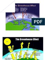 Greenhouse Effect