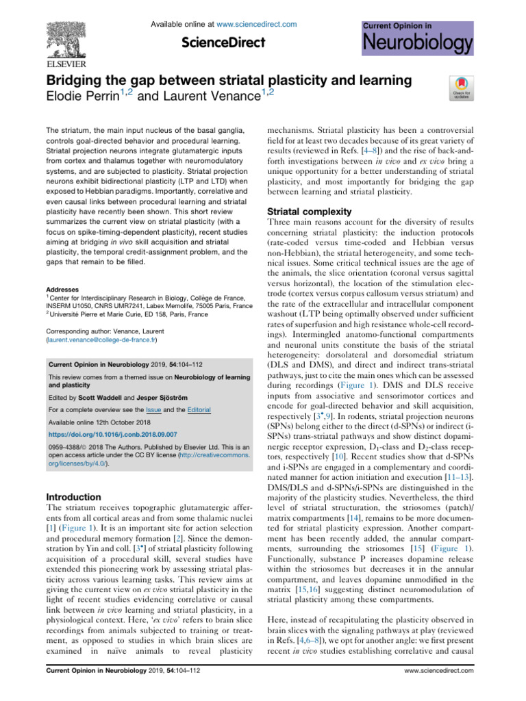 Striatal Plasticity and Learning Insights | PDF | Synaptic Plasticity ...