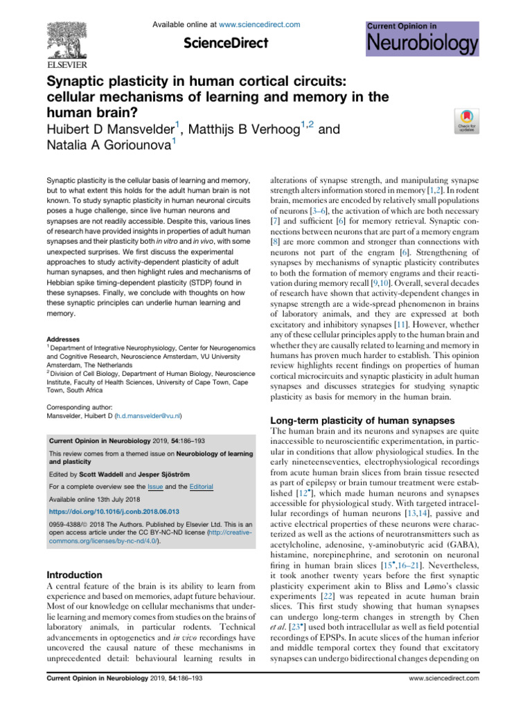 Synaptic Plasticity in Human Cortical Circuits Cellula - 2019 - Current ...