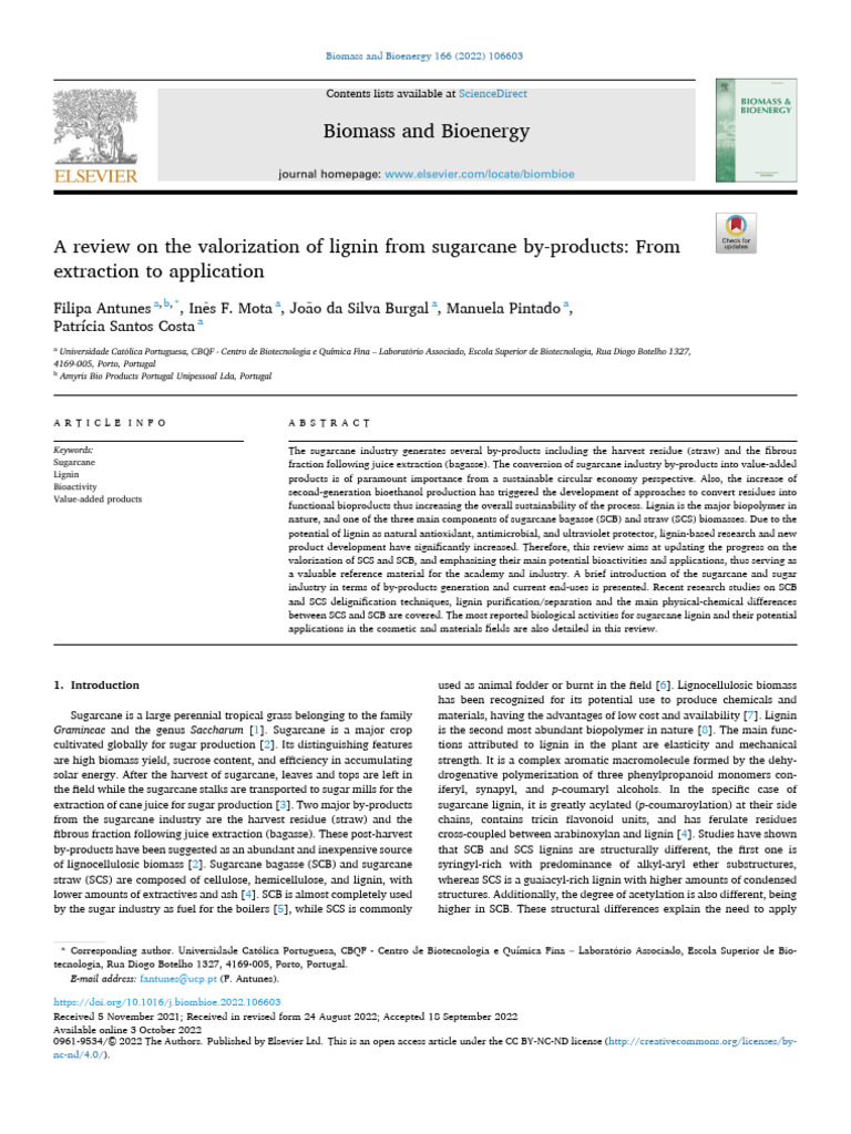 Valorizing Sugarcane Lignin for Bioenergy | PDF | Lignin | Chemistry