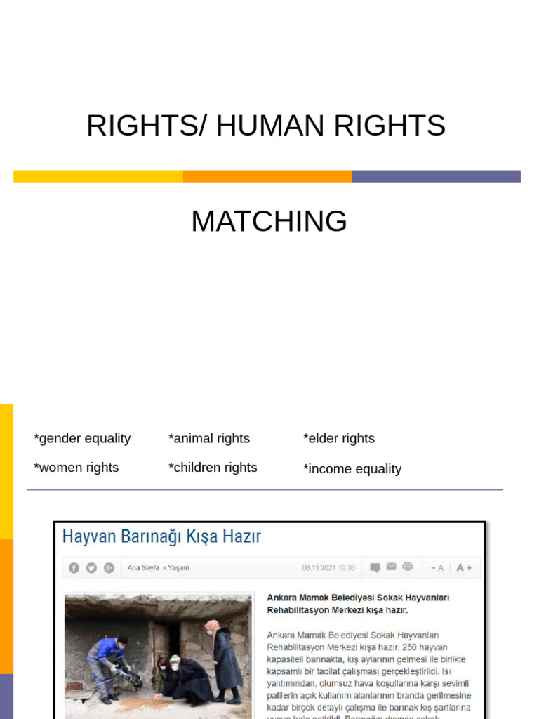 Key Human Rights Issues Explained | PDF