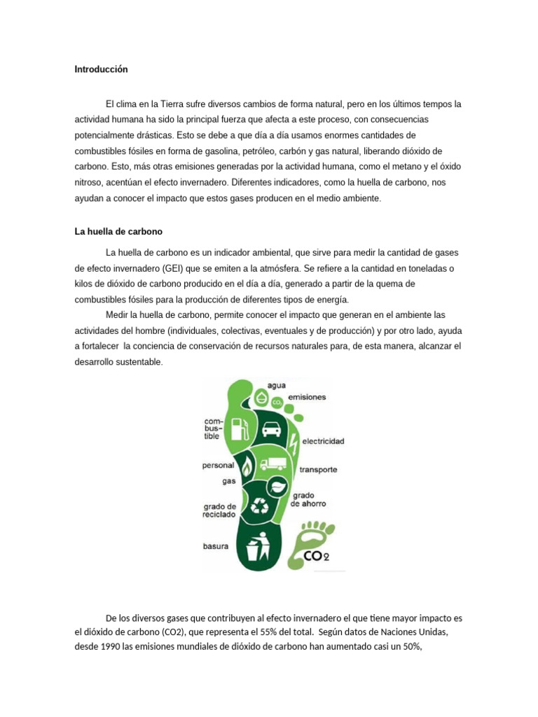 Huella de Carbono Cero | PDF | Gases de efecto invernadero | Huella de ...