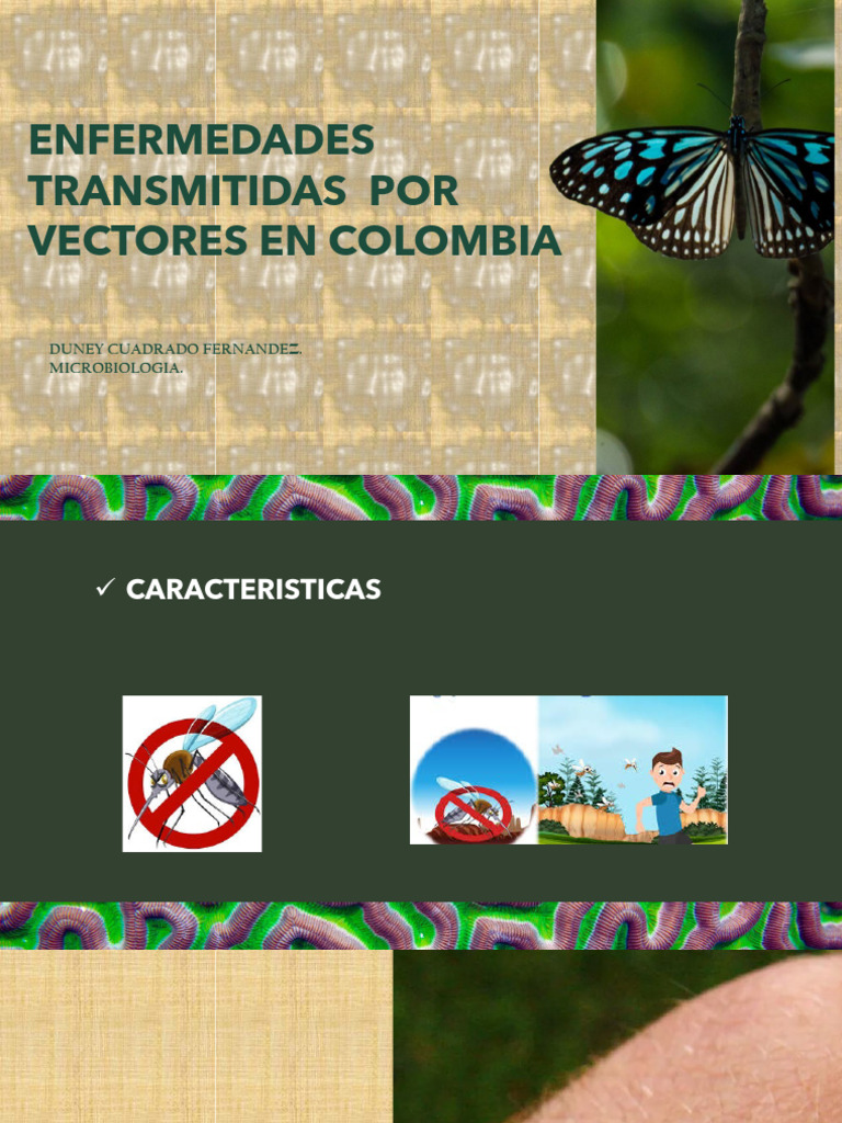 T1presentacion Enfermedades Transmitidas Por Vectores en Colombia | PDF