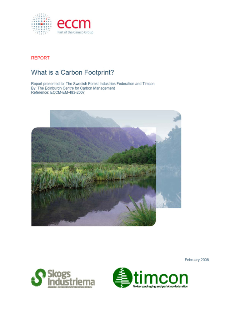 Understanding Carbon Footprints Explained | PDF | Carbon Footprint ...