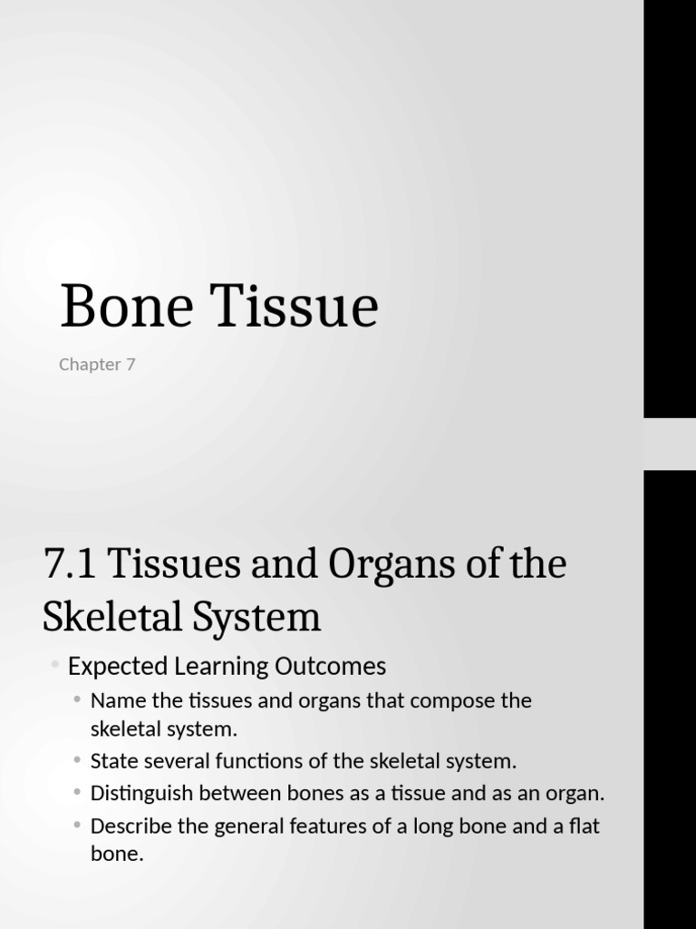 Bone Tissue Chapter 7 | PDF | Bone | Osteoblast