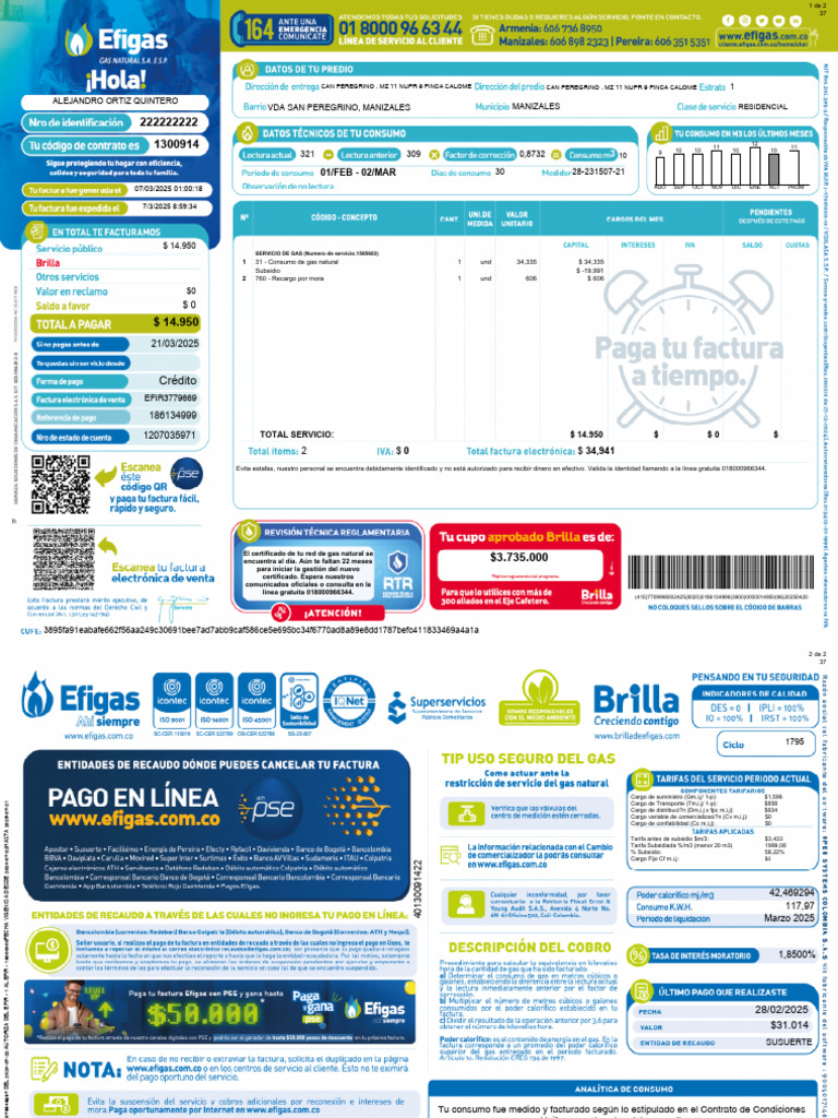 Efigas 20250307 1300914 | PDF