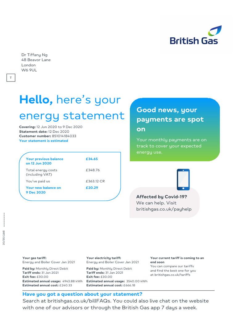 Energy Statement Summary 2020 | PDF | Debits And Credits