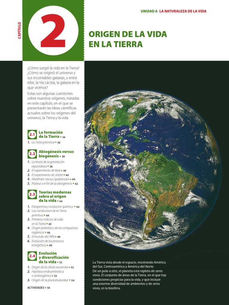Origen de la Vida en la Tierra | PDF | Universo | Microorganismo