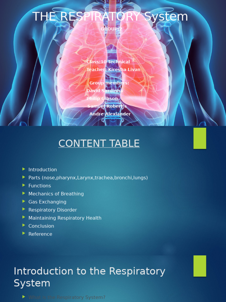 Overview of the Respiratory System | PDF | Lung | Exhalation