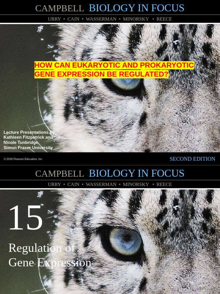 Coordinated Control of Eukaryotic Genes | PDF | Operon | Repressor