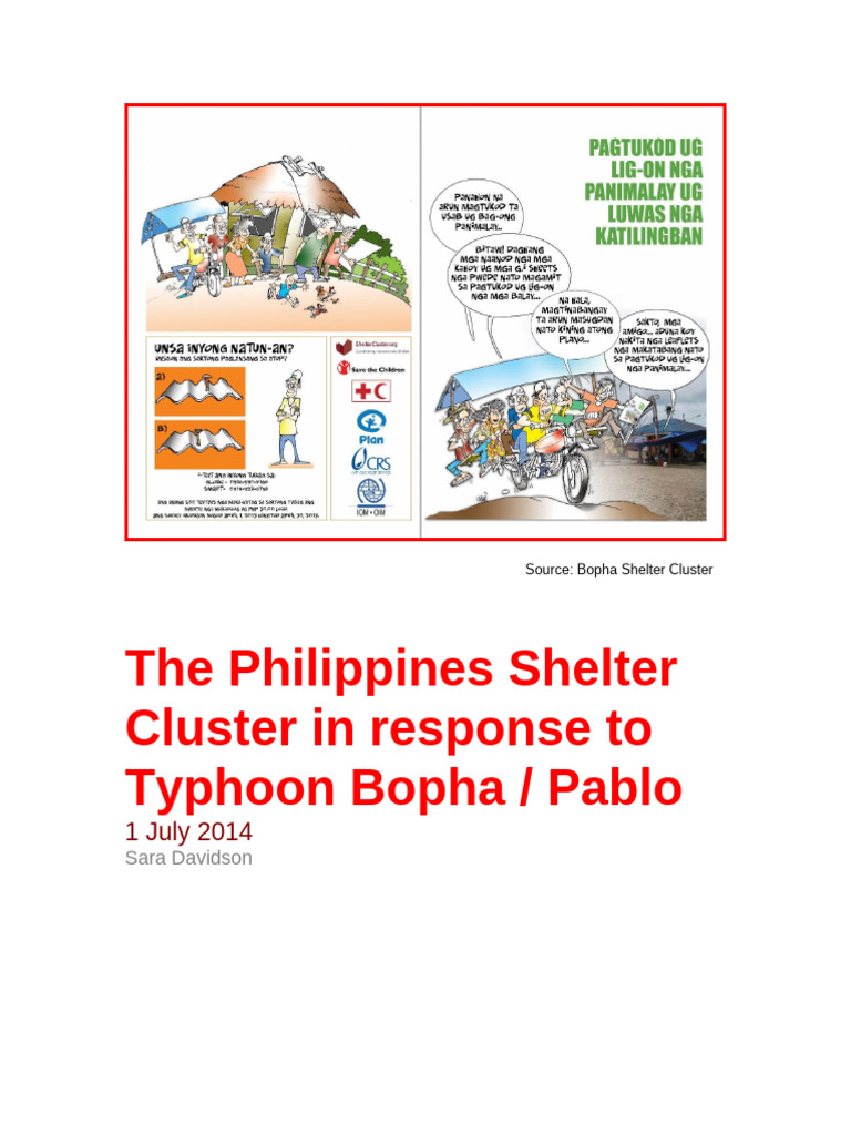 Bopha Cluster Review - Final | PDF | Humanitarian Aid | Internally ...