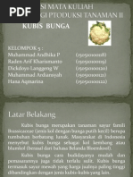 Download kubis bunga by Julie May SN84122352 doc pdf