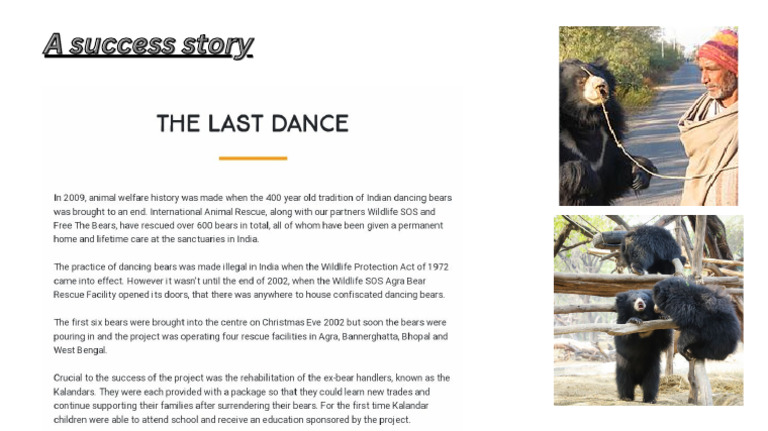 A Success Story - 20240523 - 180405 - 0000 | PDF