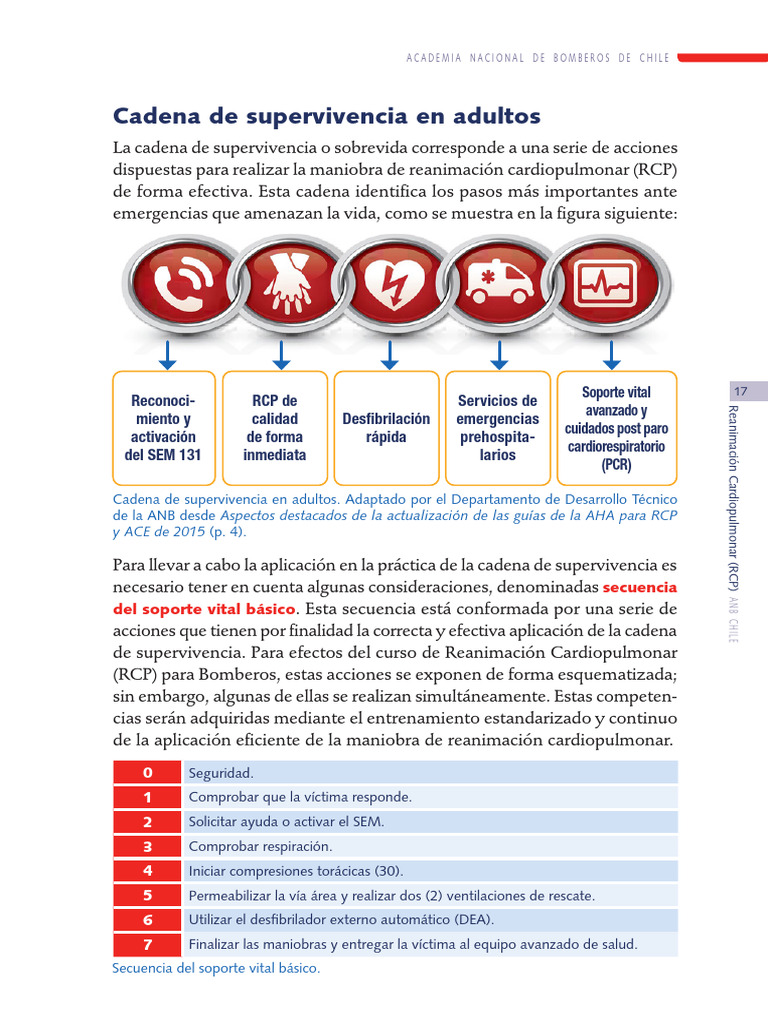 RCP3 2 | PDF | Reanimación cardiopulmonar | Medicina
