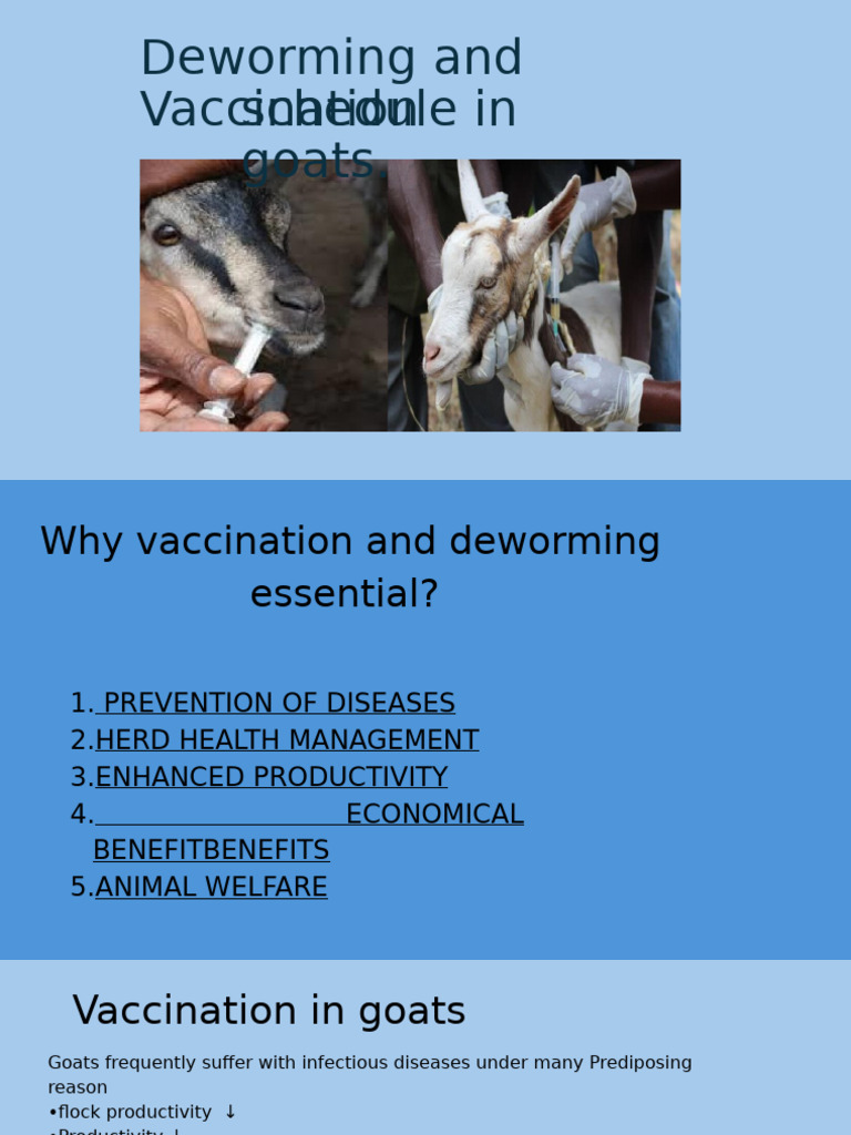 Goats Deworming and C.PDF 20240513 012519 0000 PDF Vaccines