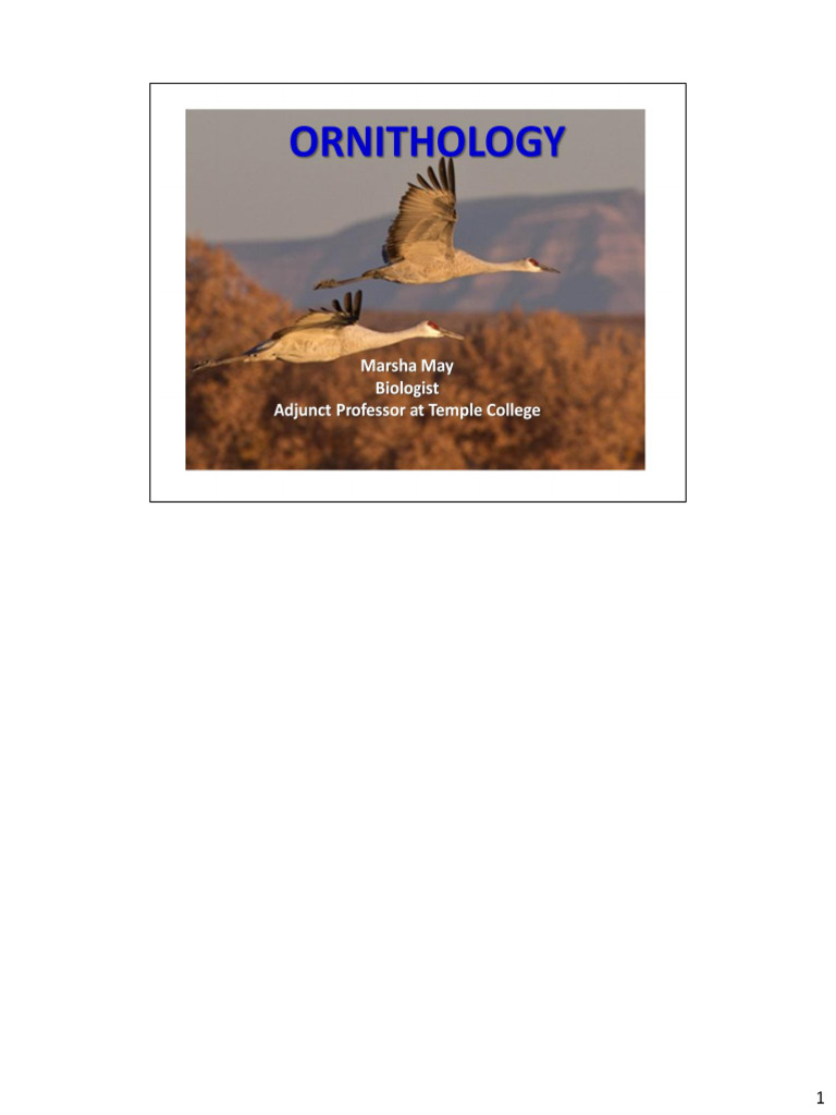 2020 Ornithology Lecture. Marsha May With Notes | PDF | Birds | Bird ...