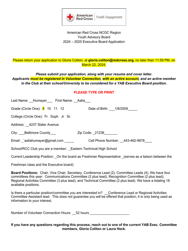 YAB Executive Board Application Final | PDF