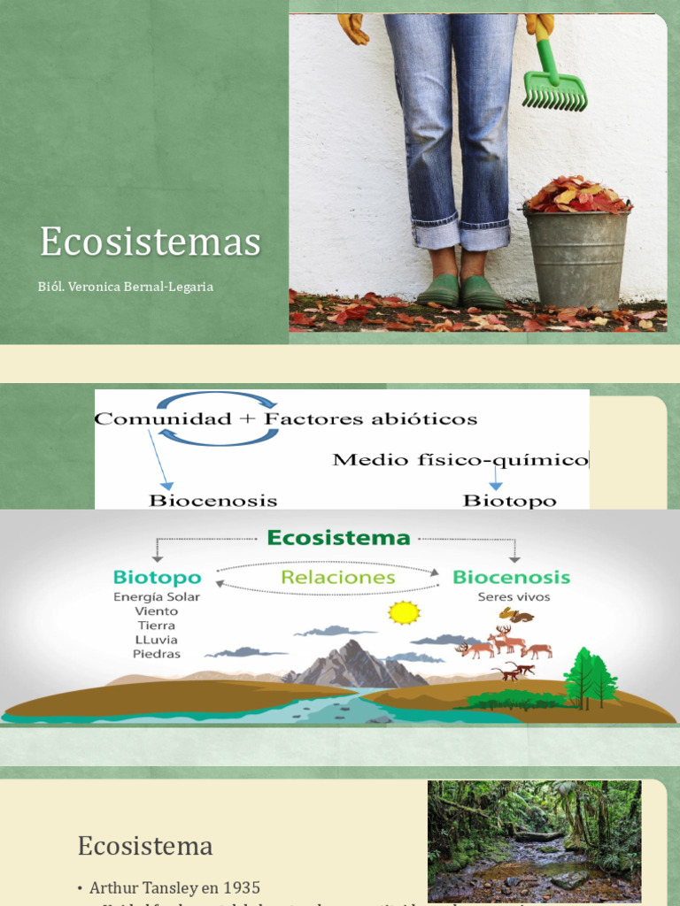 Tipos y características de ecosistemas | PDF | Ecosistema | Los bosques
