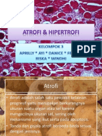 Atrofi & Hipertrofi