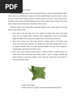 Download Daun Salam by Stephanie Nathania SN84128339 doc pdf