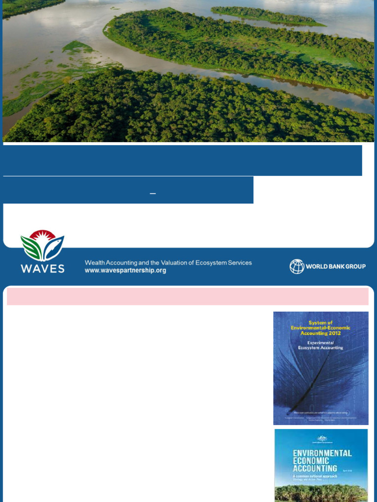 SEEA and NCA Overview Guide | PDF