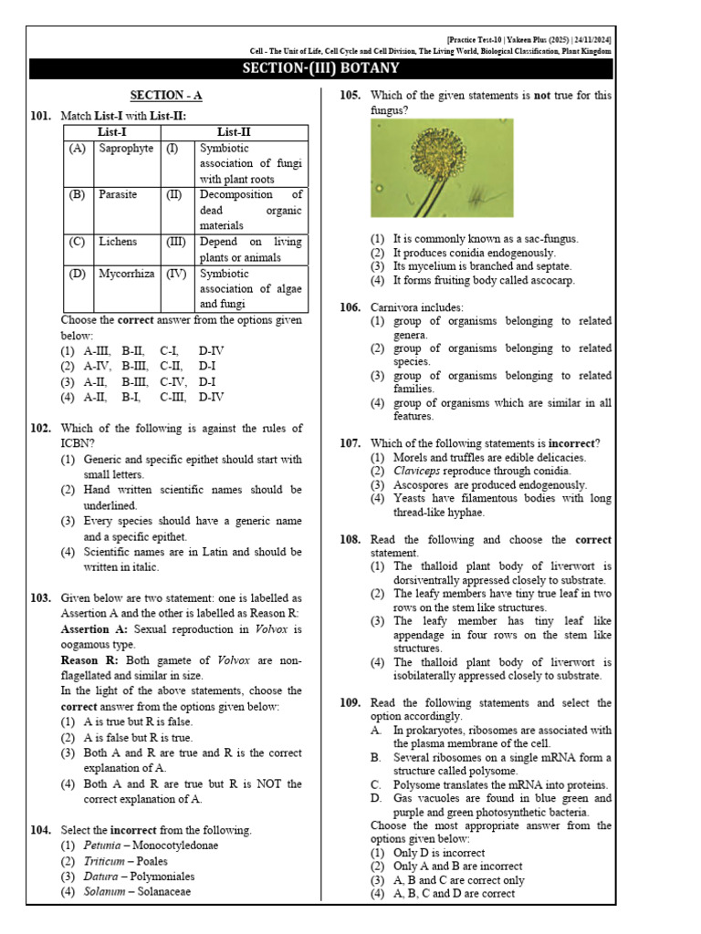Botany Practice Test 2025 | PDF | Meiosis | Cell Membrane