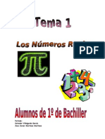 Tema 1 Números Reales