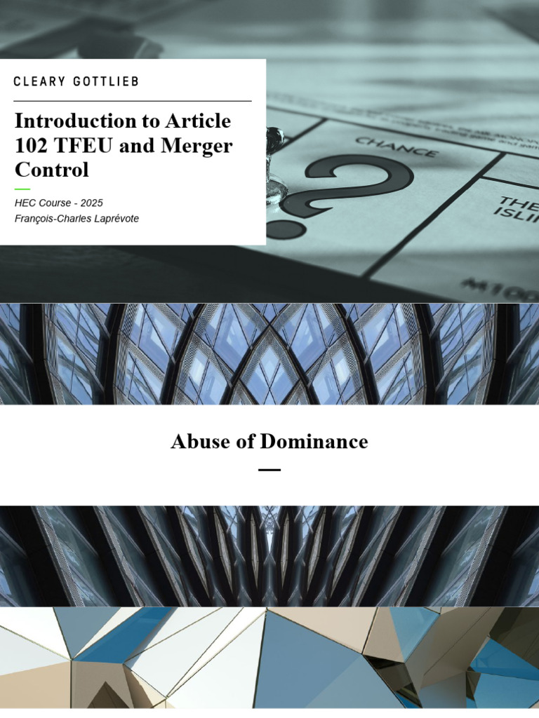Article 102 TFEU: Abuse of Dominance Explained | PDF | Business ...