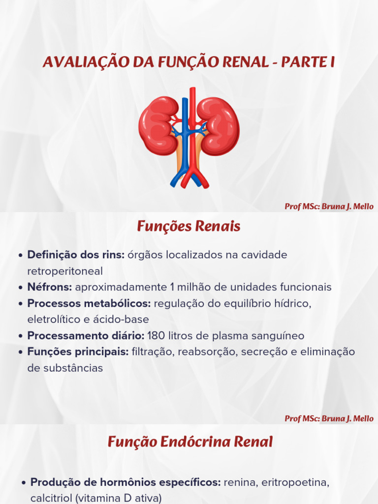 Avaliação da Função Renal: Métodos e Diagnósticos | PDF | Rim | Creatinina