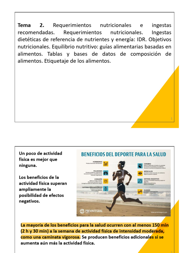 Guías Nutricionales y Actividad Física | PDF | Alimentos | Dieta