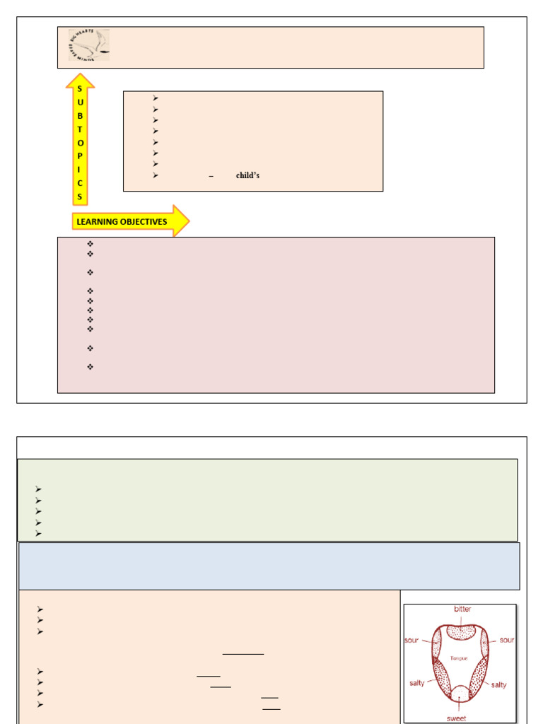From Tasting to Digesting: Class V Summary | PDF | Digestion | Stomach