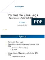 03 Permeable Zone Logs SP