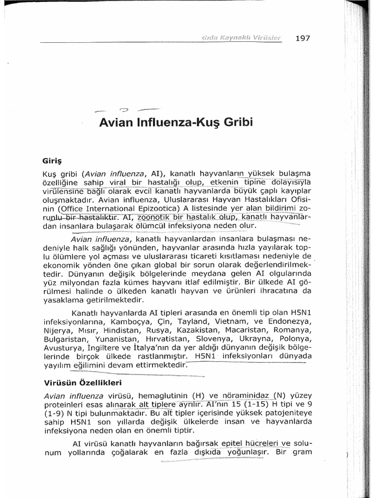 Avian Influenza | PDF