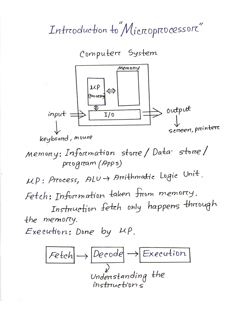 1.introduction Basics by Toukir | PDF