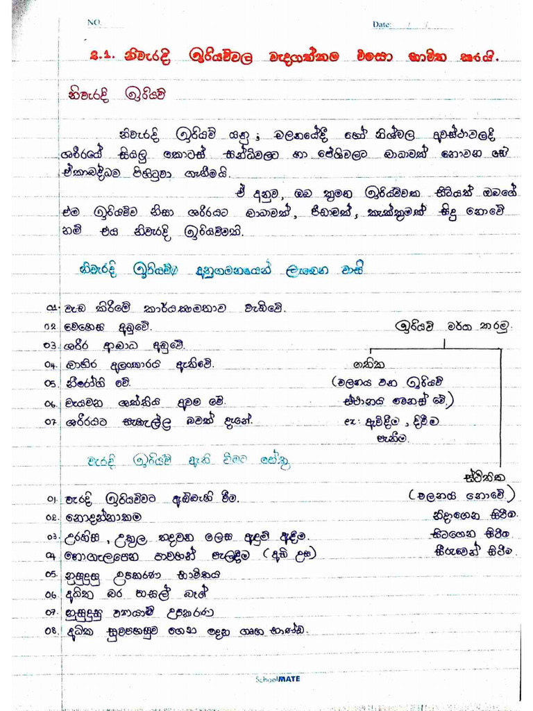 PE 2 Iriyau | PDF