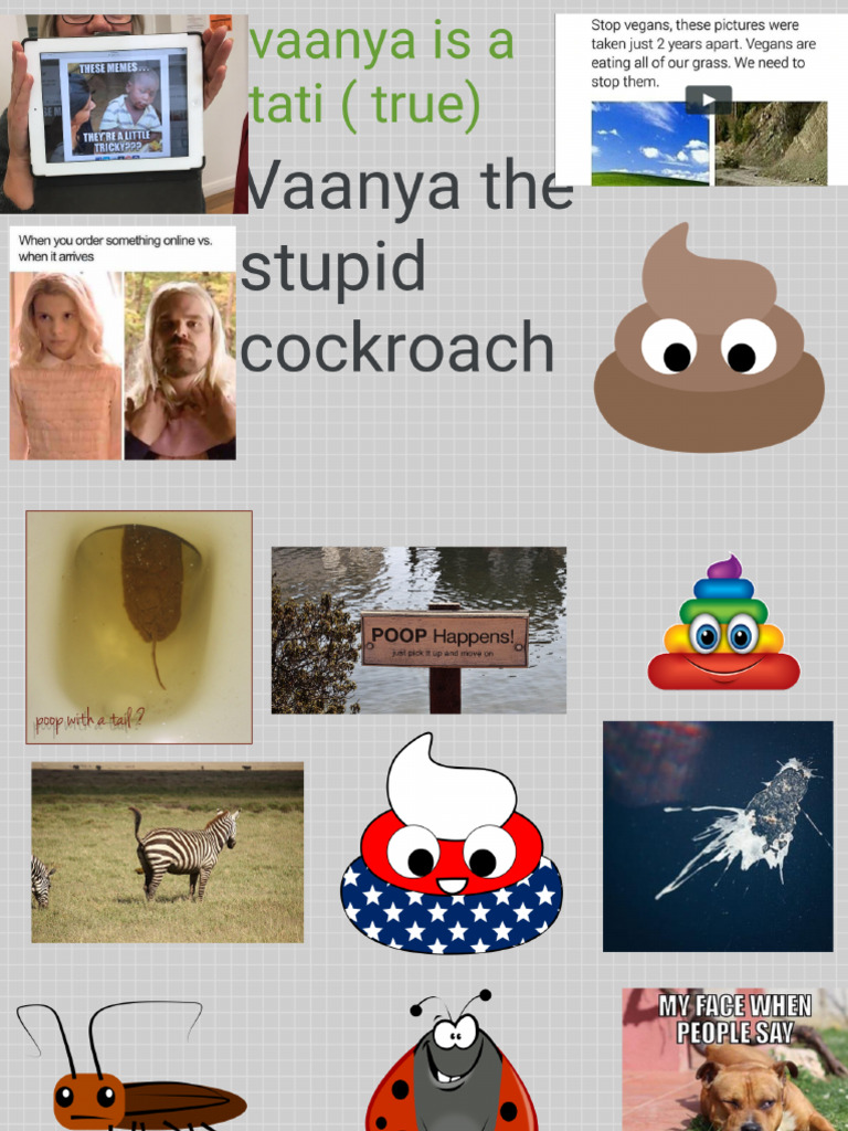 The Cockroach Board ? | PDF