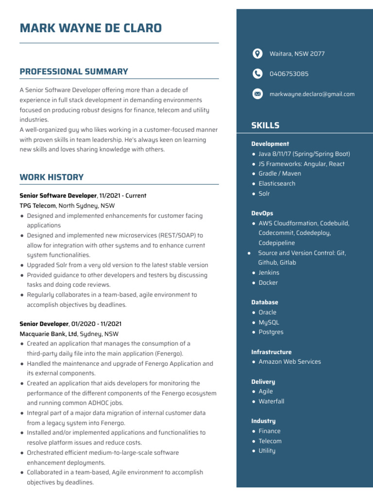 Senior Software Developer Profile | PDF | Agile Software Development ...