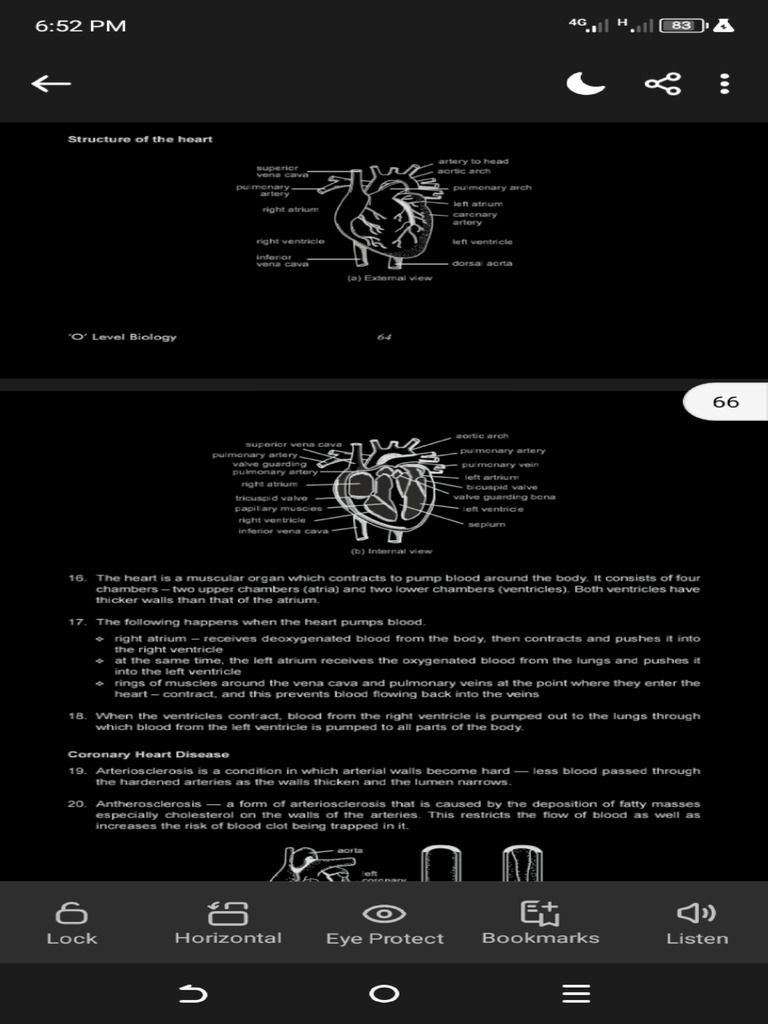 Structure of The Heart | PDF