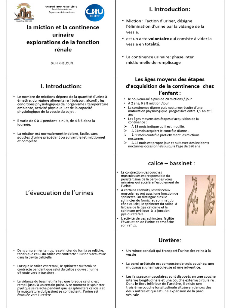 Miction et continence urinaire expliquées | PDF | Appareil urinaire | Urine