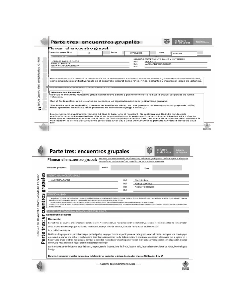 Encuentro Grupal Modelo | PDF