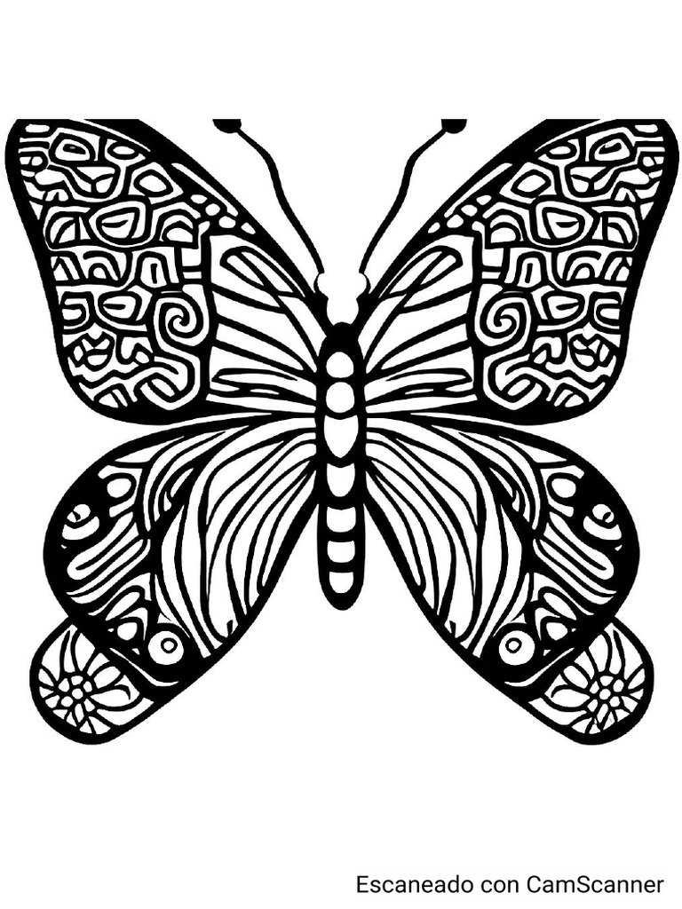 Bigfly | PDF