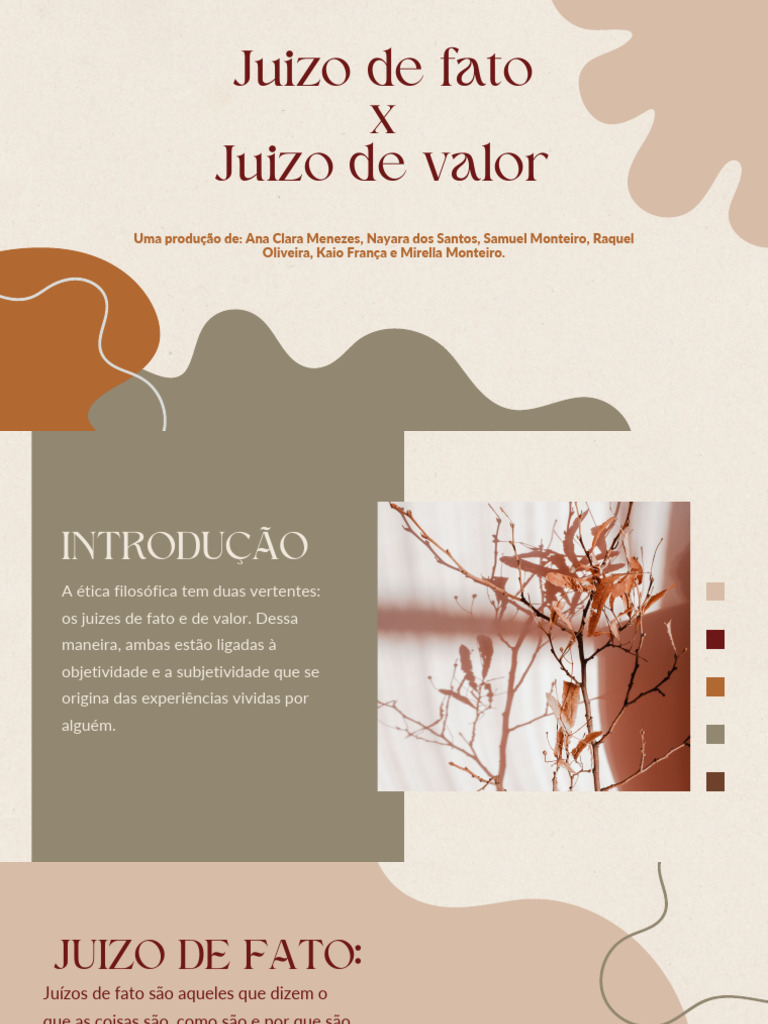 Juizo de Fato X Juizo de Valor - 20250320 - 161745 - 0000 | PDF