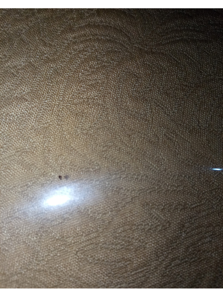 Image To Pdf 2025 Pdf