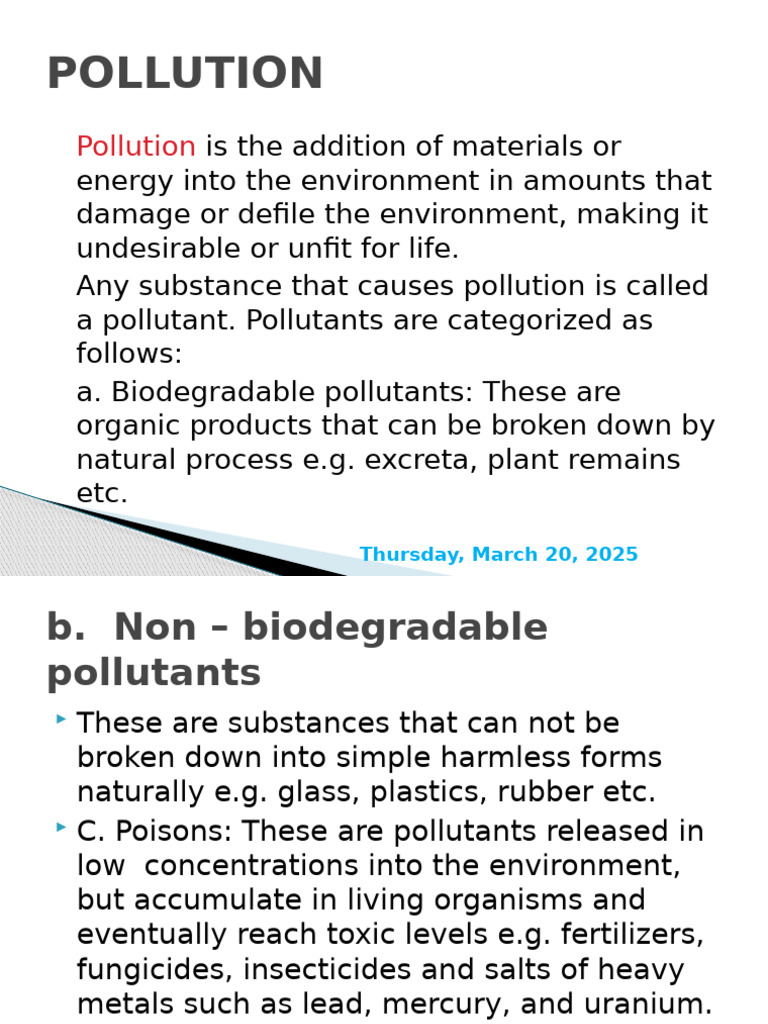 Types and Effects of Pollution Explained | PDF | Water Pollution ...