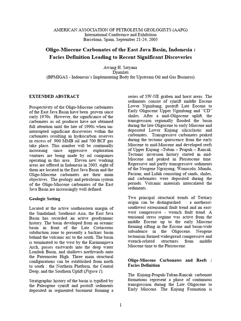 Oligo-Miocene Carbonates in East Java | PDF | Petroleum Reservoir ...