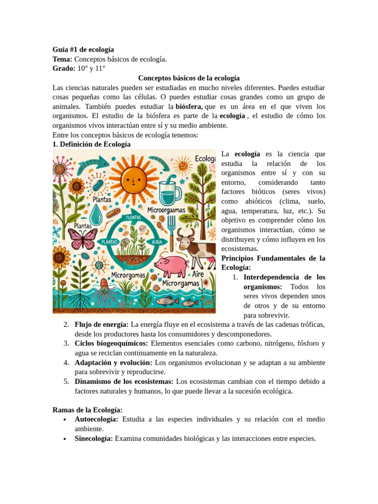 Conceptos Básicos de Ecología | PDF | Ecología | Ecosistema