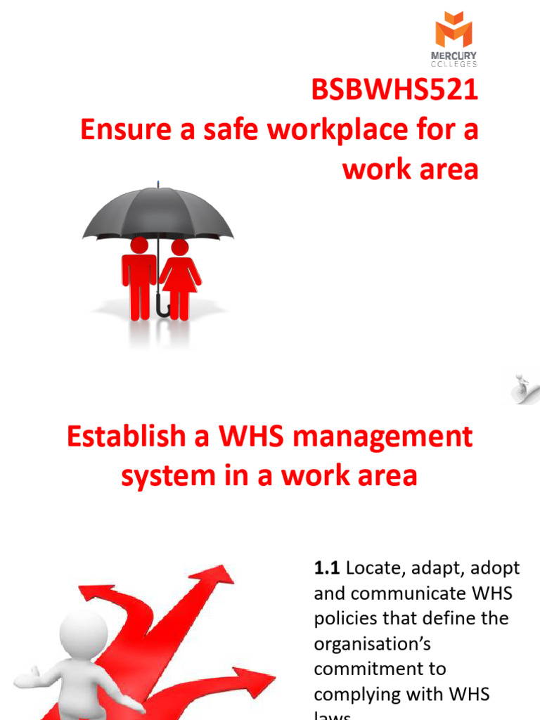 WHS Management System Implementation Guide | PDF | Occupational Safety ...