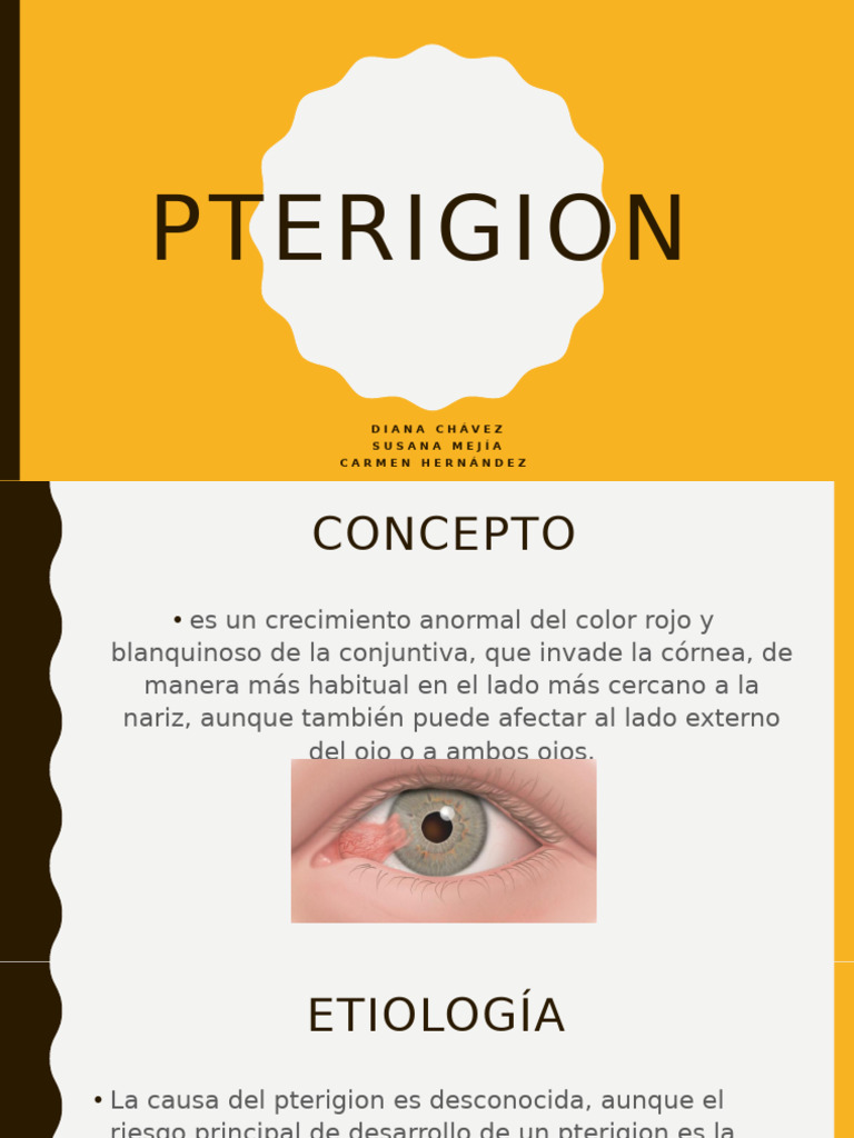 PTERIGION | PDF | Ojo | Visión
